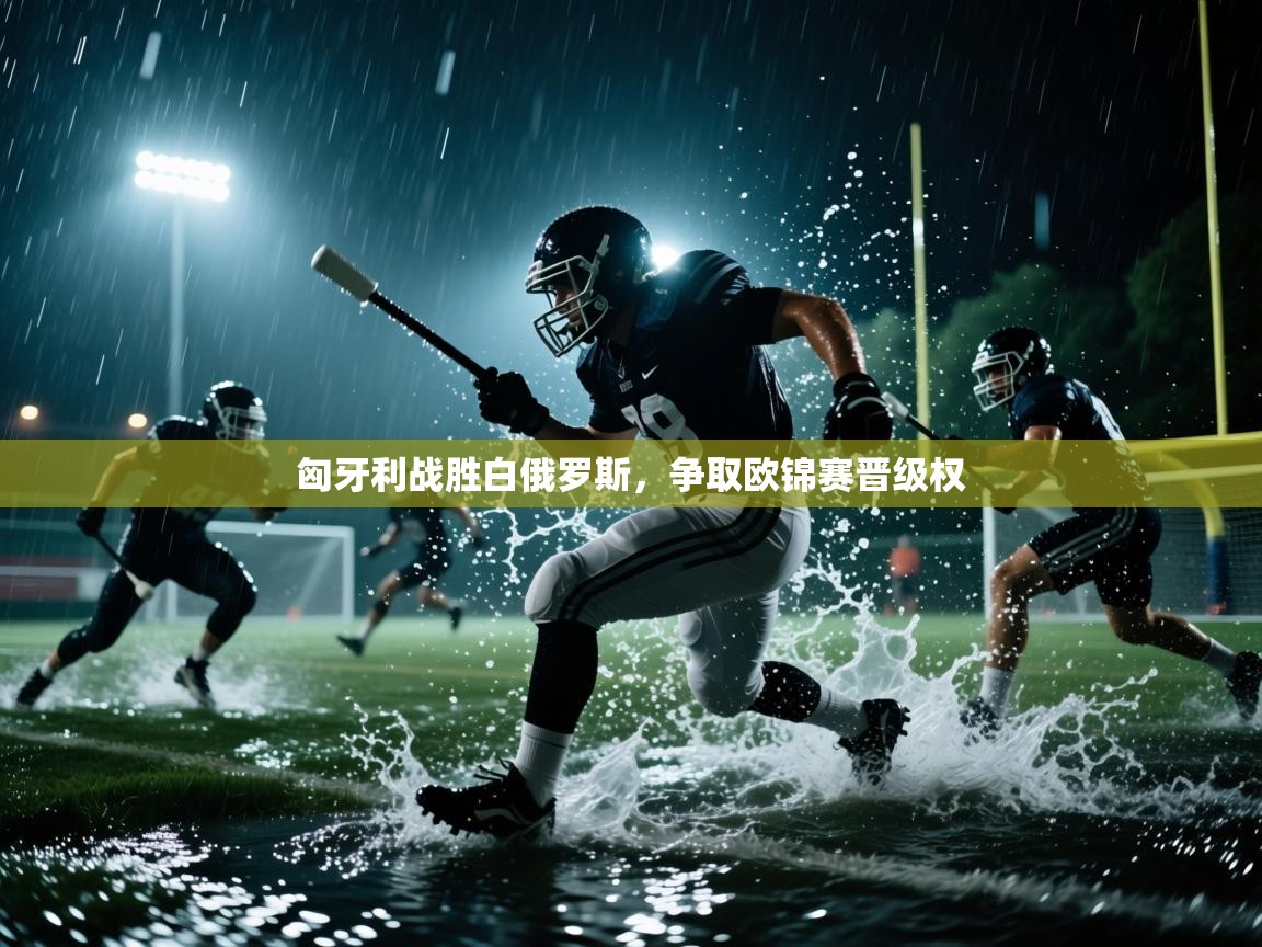 匈牙利战胜白俄罗斯，争取欧锦赛晋级权  第2张