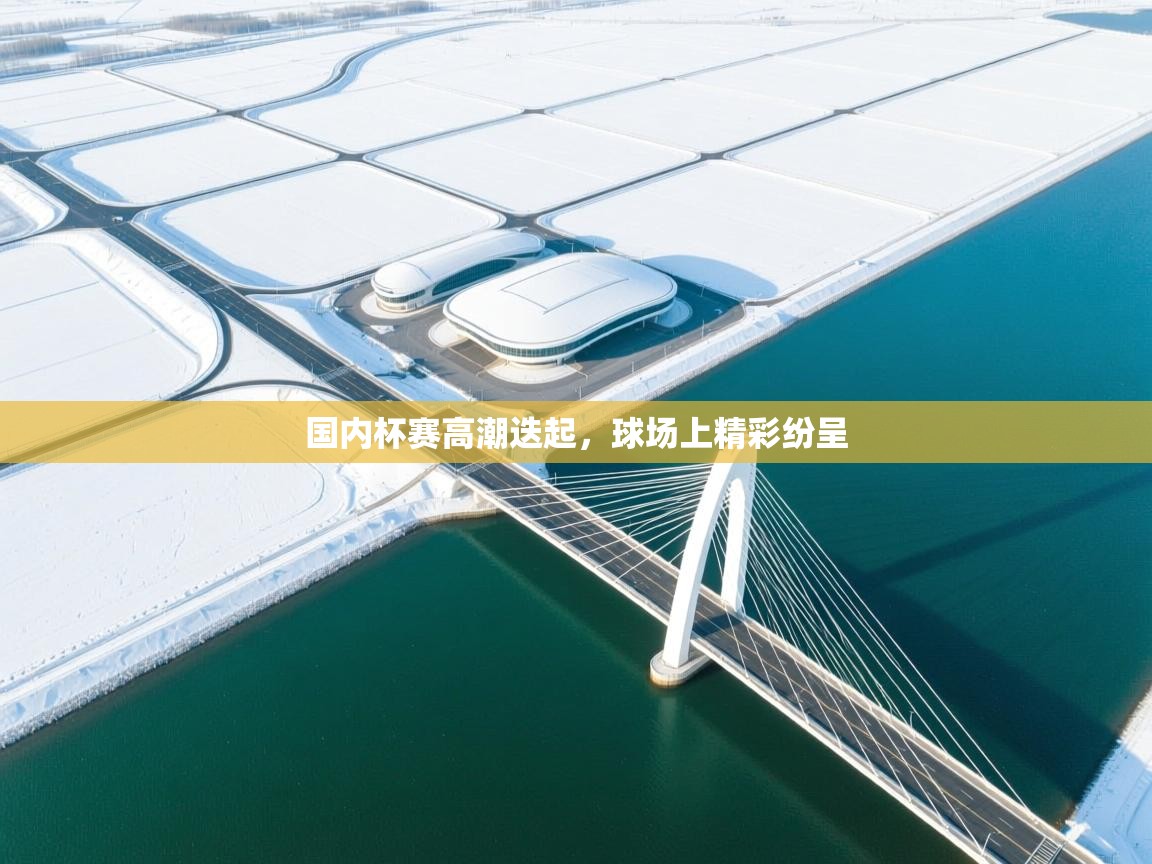 国内杯赛高潮迭起，球场上精彩纷呈  第1张