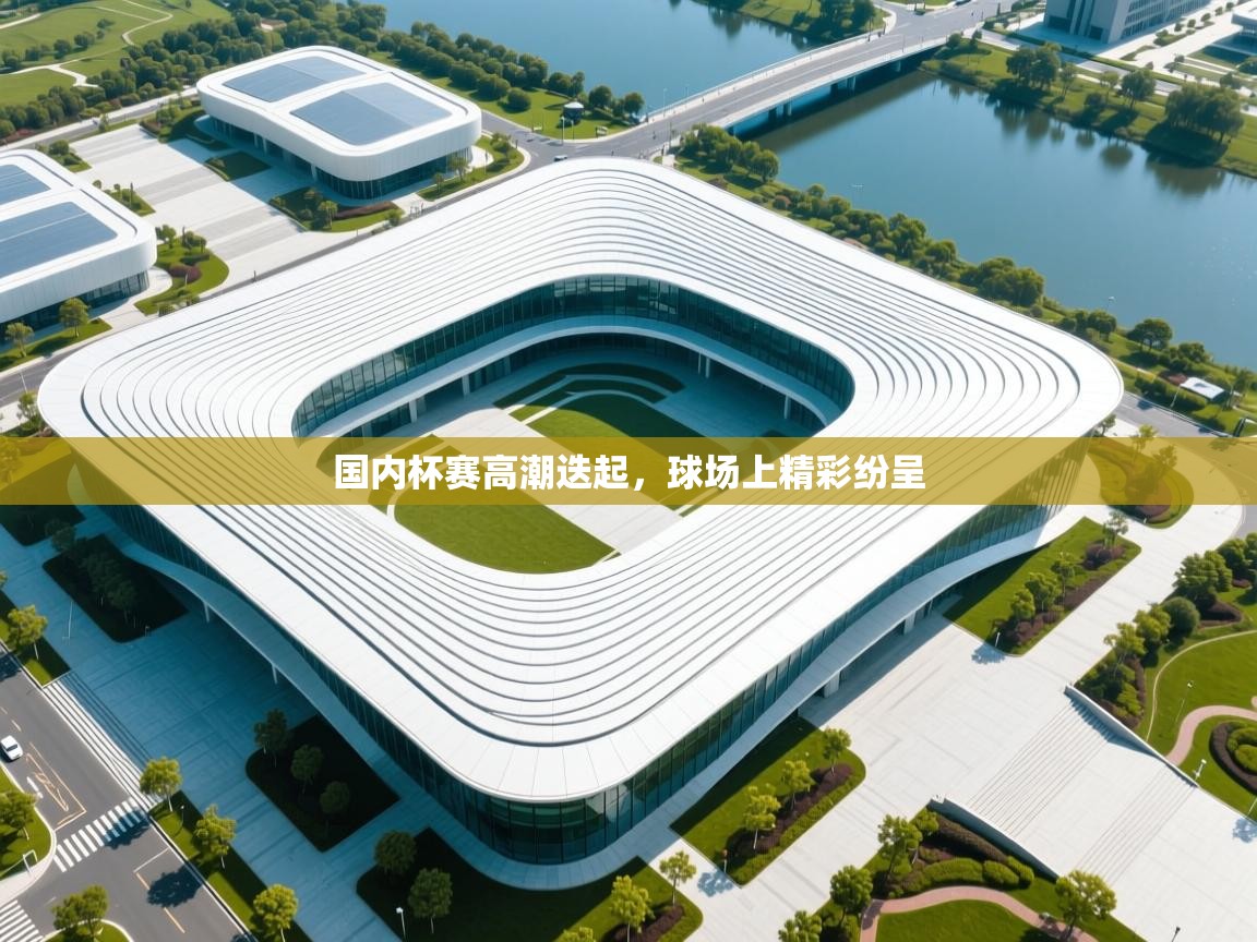 国内杯赛高潮迭起，球场上精彩纷呈  第2张